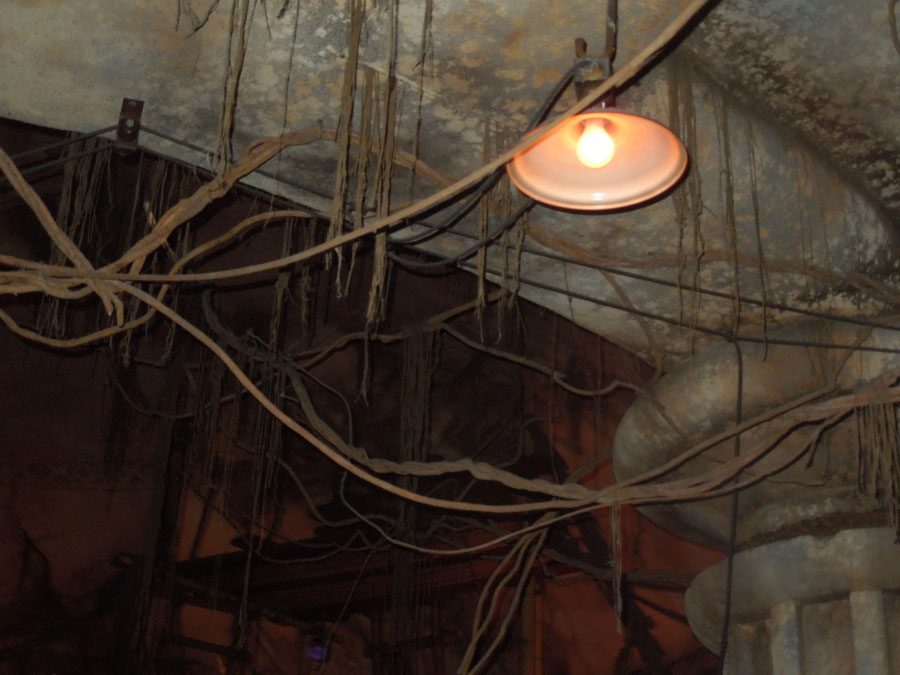 Disneyland Indiana Jones Ride